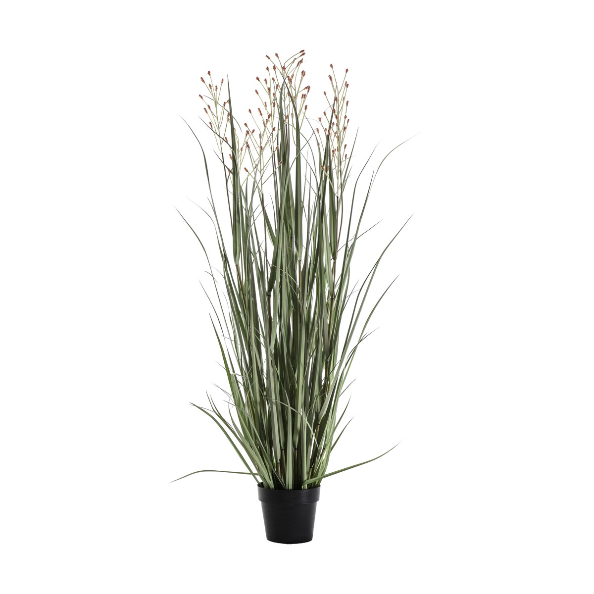 Potted Grass w/7 Heads Green/Russet 1300mm