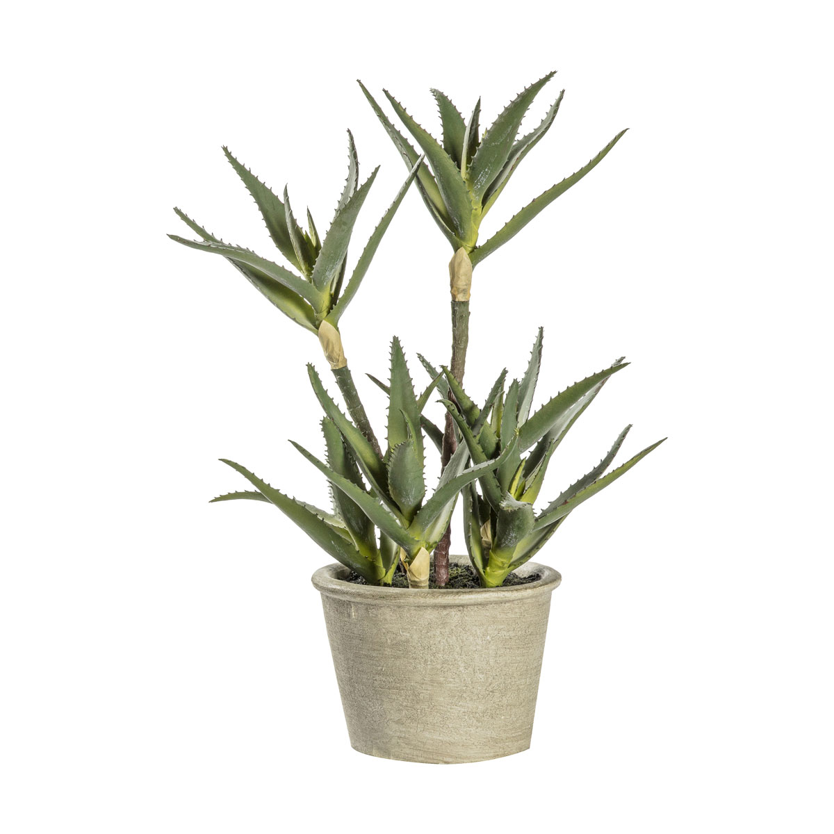 Potted Aloe 250x250x380mm