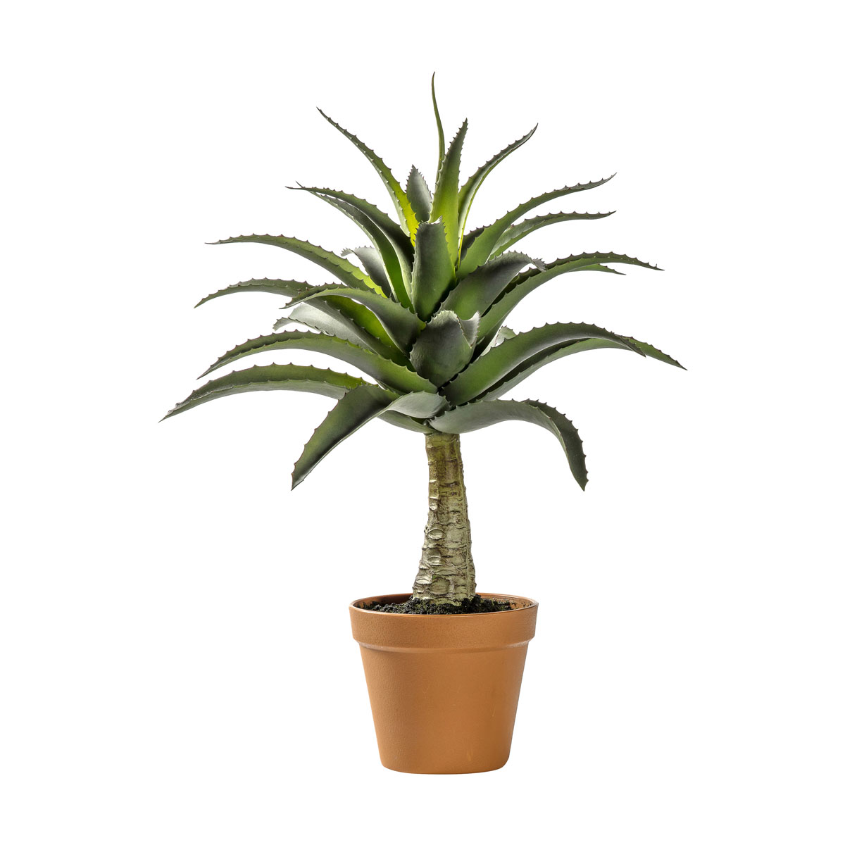 Potted Agave 430x430x570mm