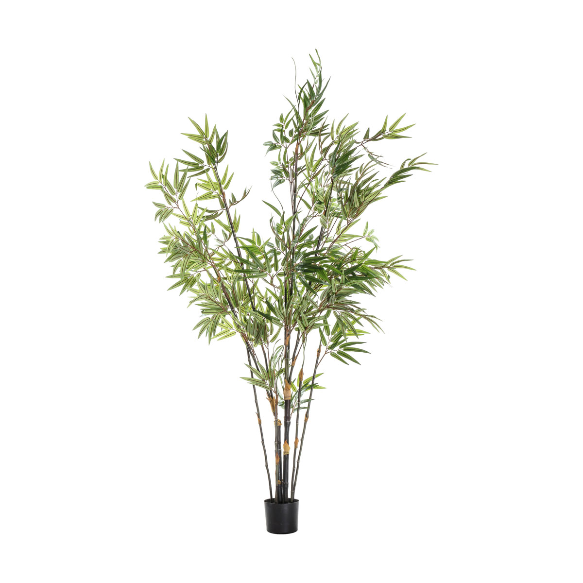 Bamboo w/859 Leaves 450x450x1520mm