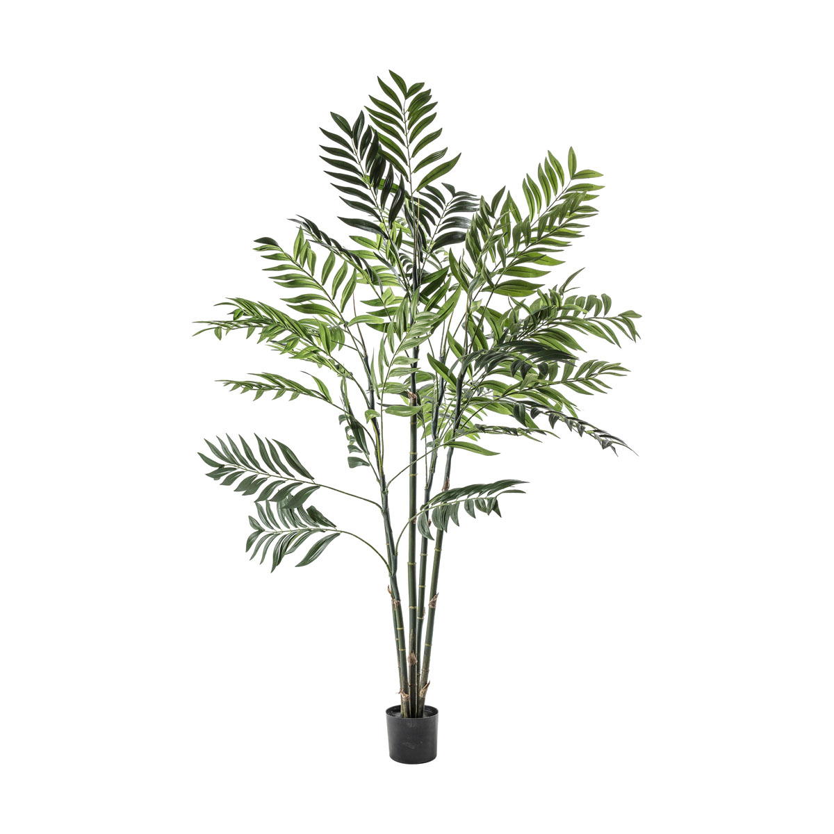 Areca Palm Tree Large 960x960x1520mm