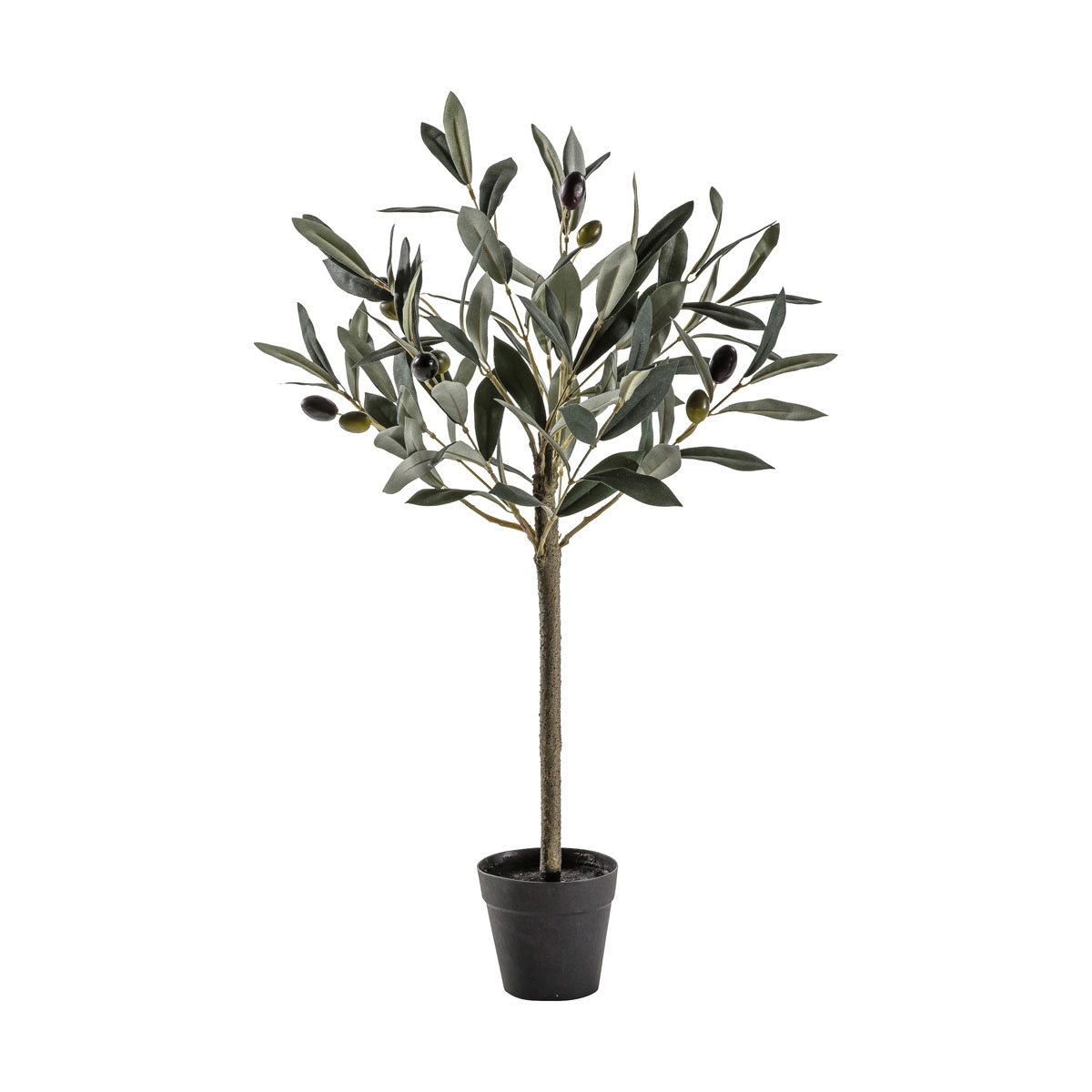 Olive Tree Small 220x220x600mm