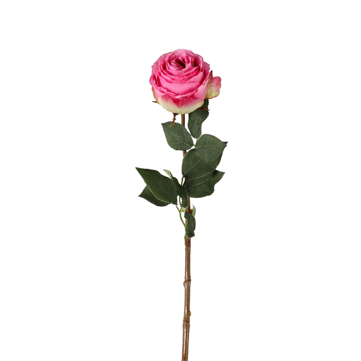 Rose Stem Pink (6pk) 770mm