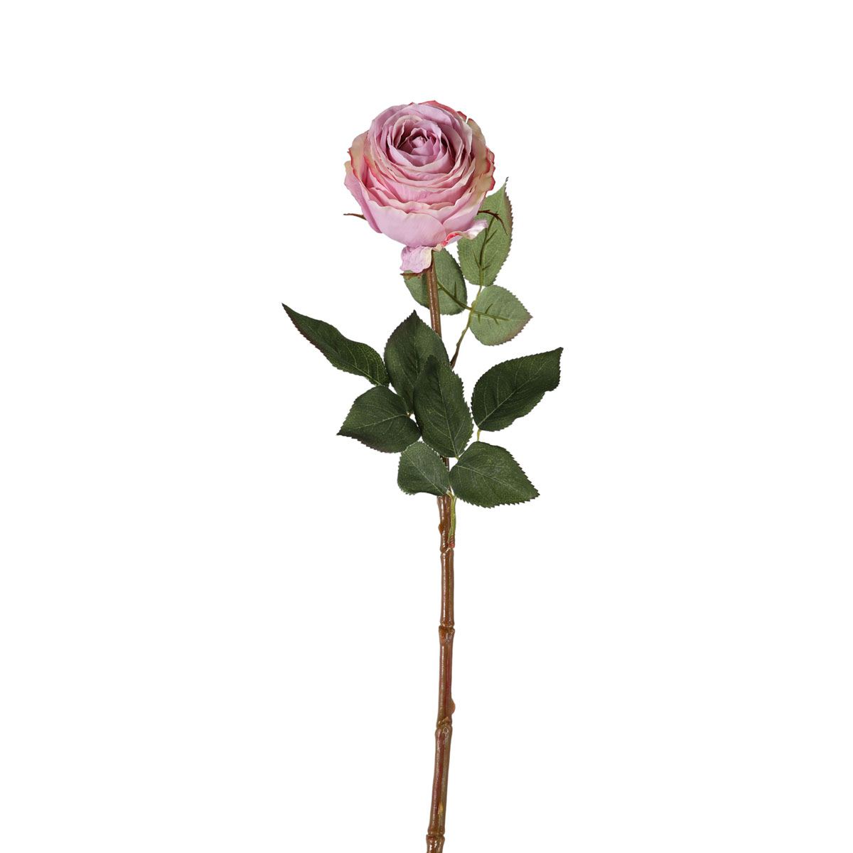 Rose Stem Lilac (6pk) 770mm
