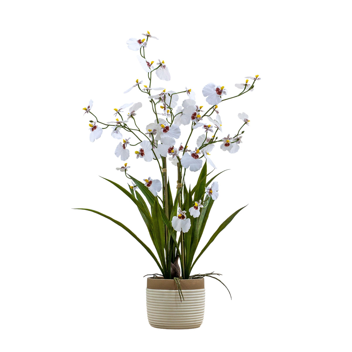 Potted Oncidium Orchid (real touch) White H640mm