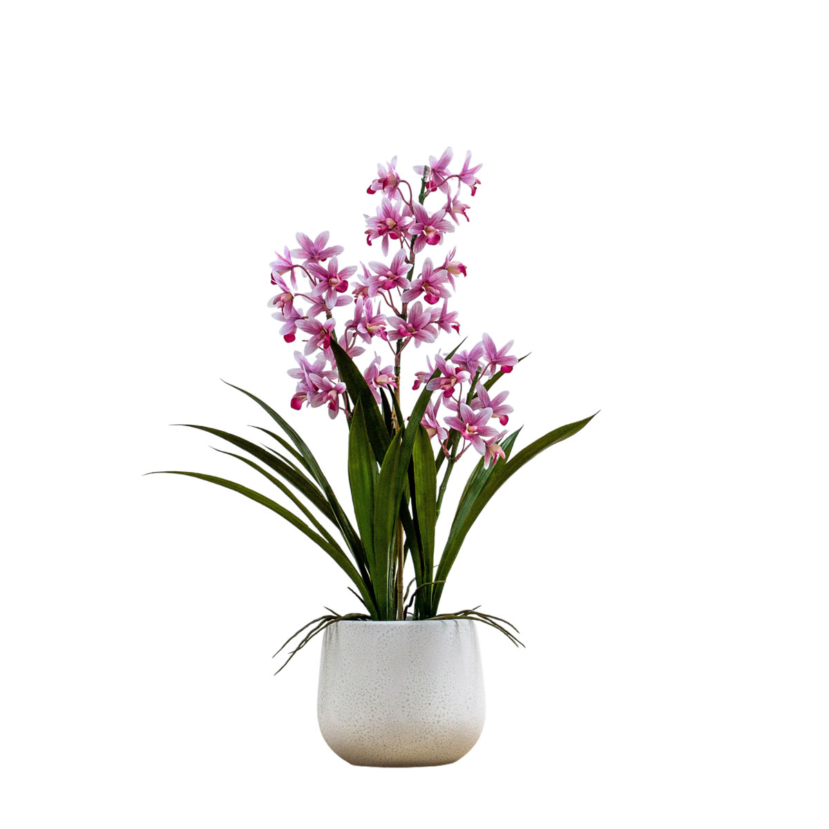 Potted Cymbidium Orchid (real touch) Pink H610mm