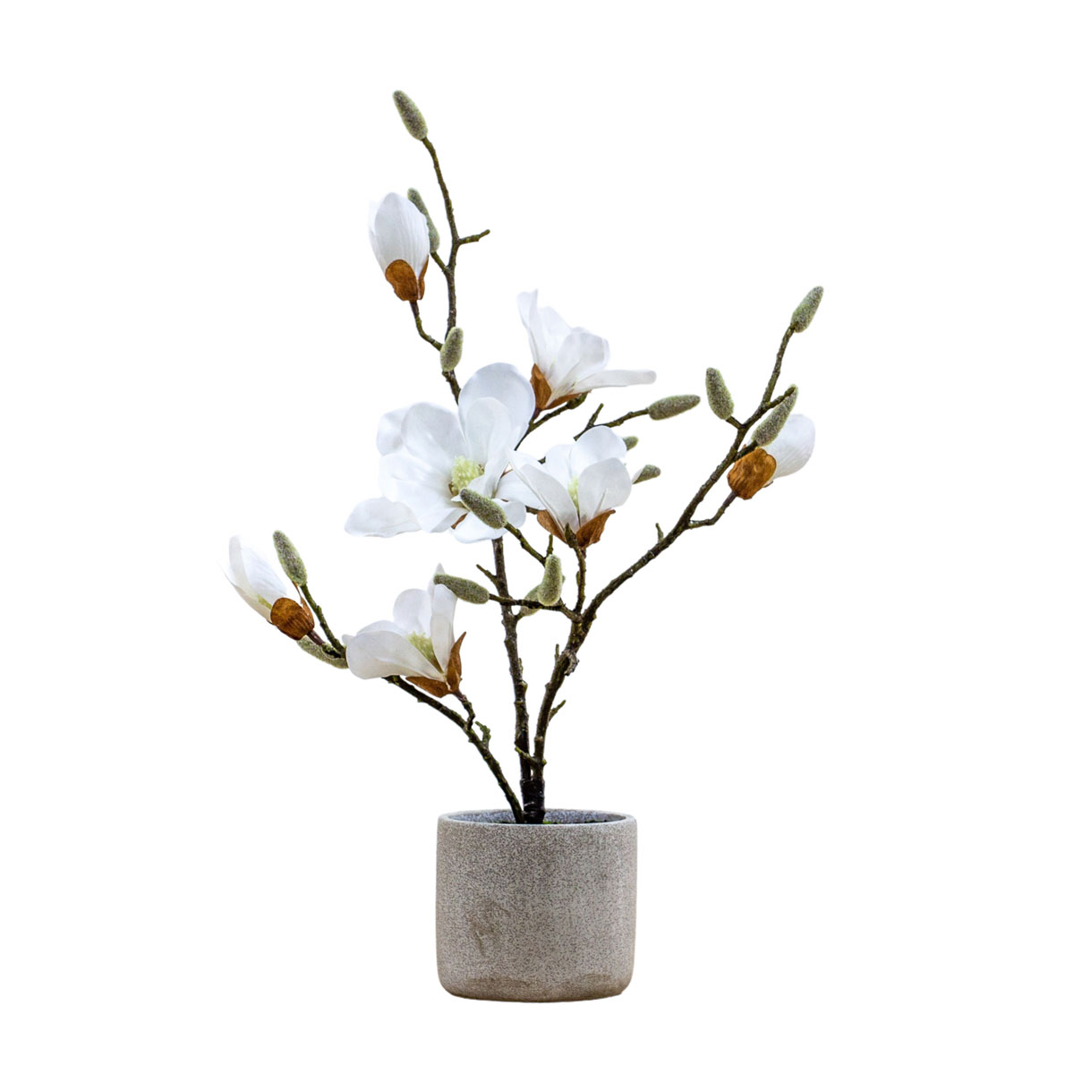 Potted Magnolia (real touch) White H600mm