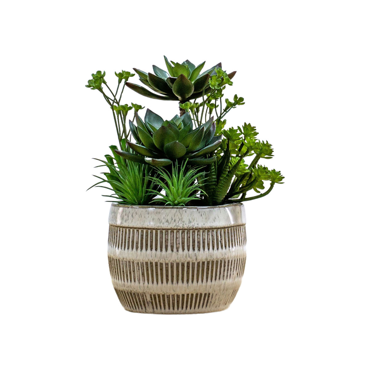 Potted Succulents Ceramic Pot Green Brown H240mm