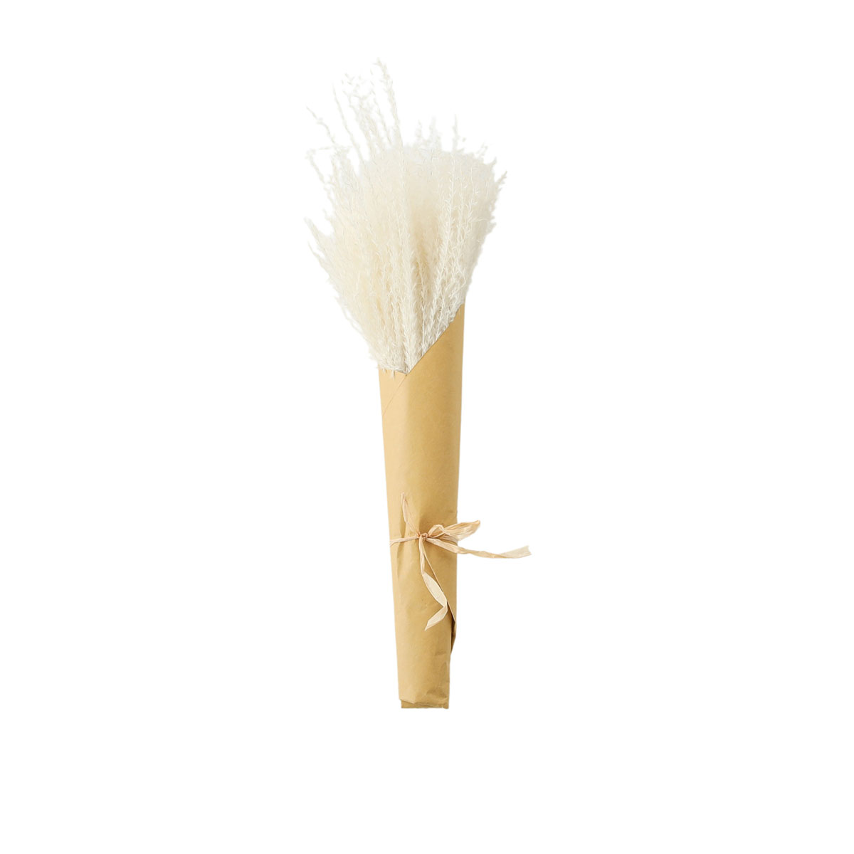 Dried Reed Grass Bundle Paper Wrap White H560mm