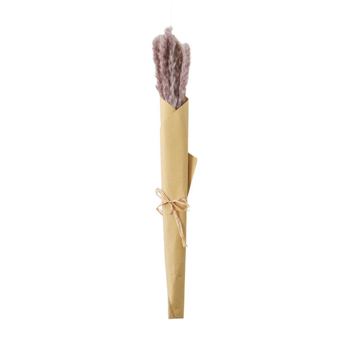 Dried Reed Grass Bundle in Paper Wrap Lilac H600mm