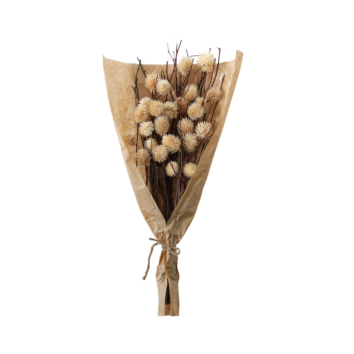 Dried Thistle Bundle in Paper Wrap Natural H540mm