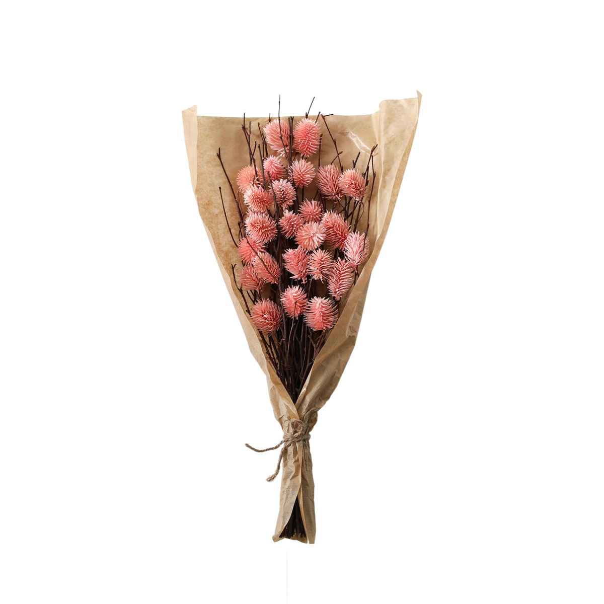 Dried Thistle Bundle in Paper Wrap Blush H540mm