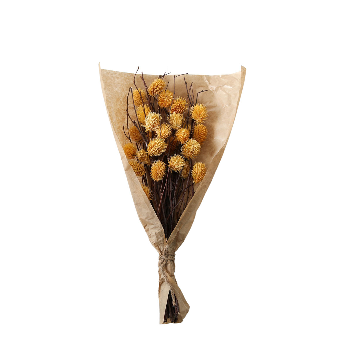 Dried Thistle Bundle in Paper Wrap Ochre H540mm