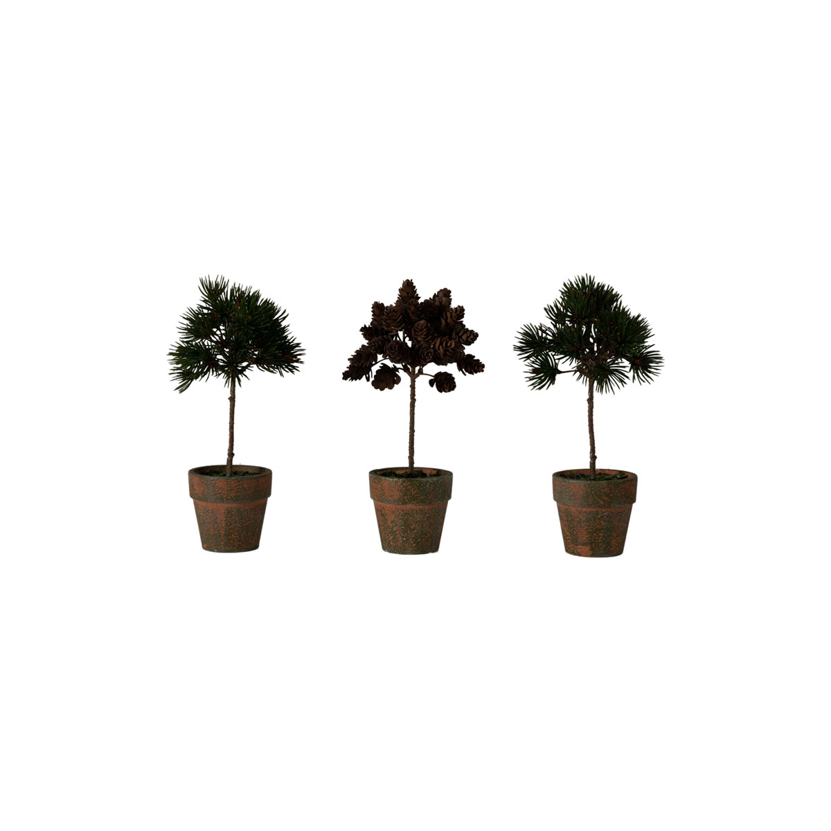 Potted Pine/Cone Trees (Set of 3) H230mm