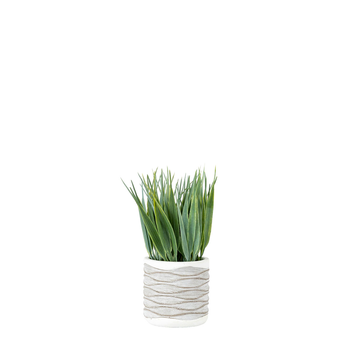 Grass in Wavy Pot Small (2pk) 80x80x220mm