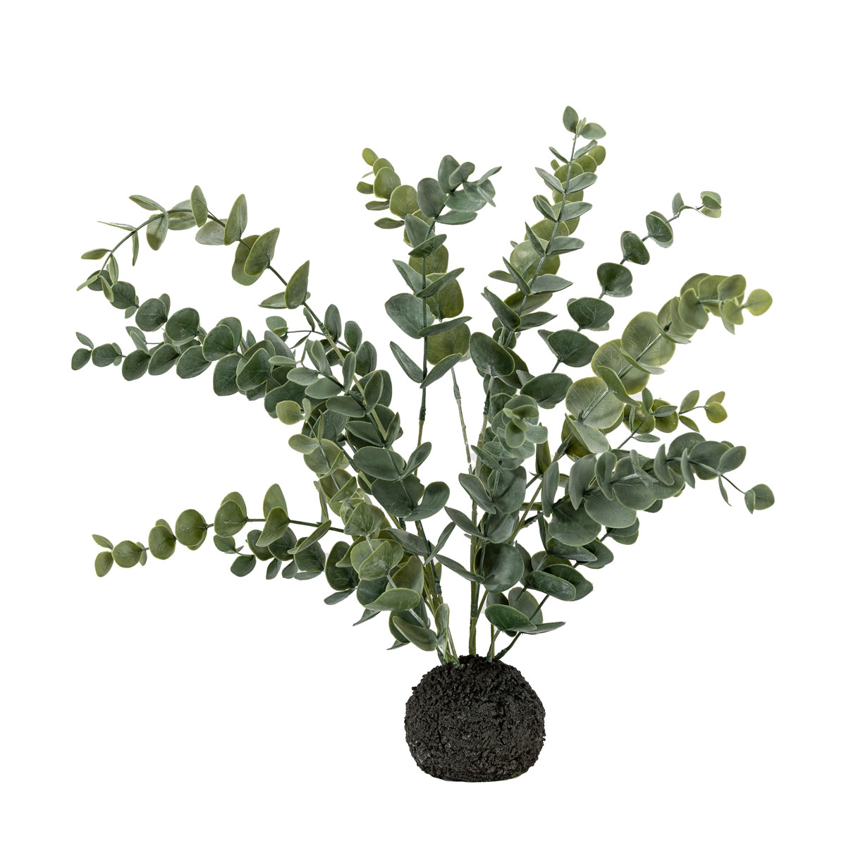 Eucalyptus in Soil Grey Green H510mm