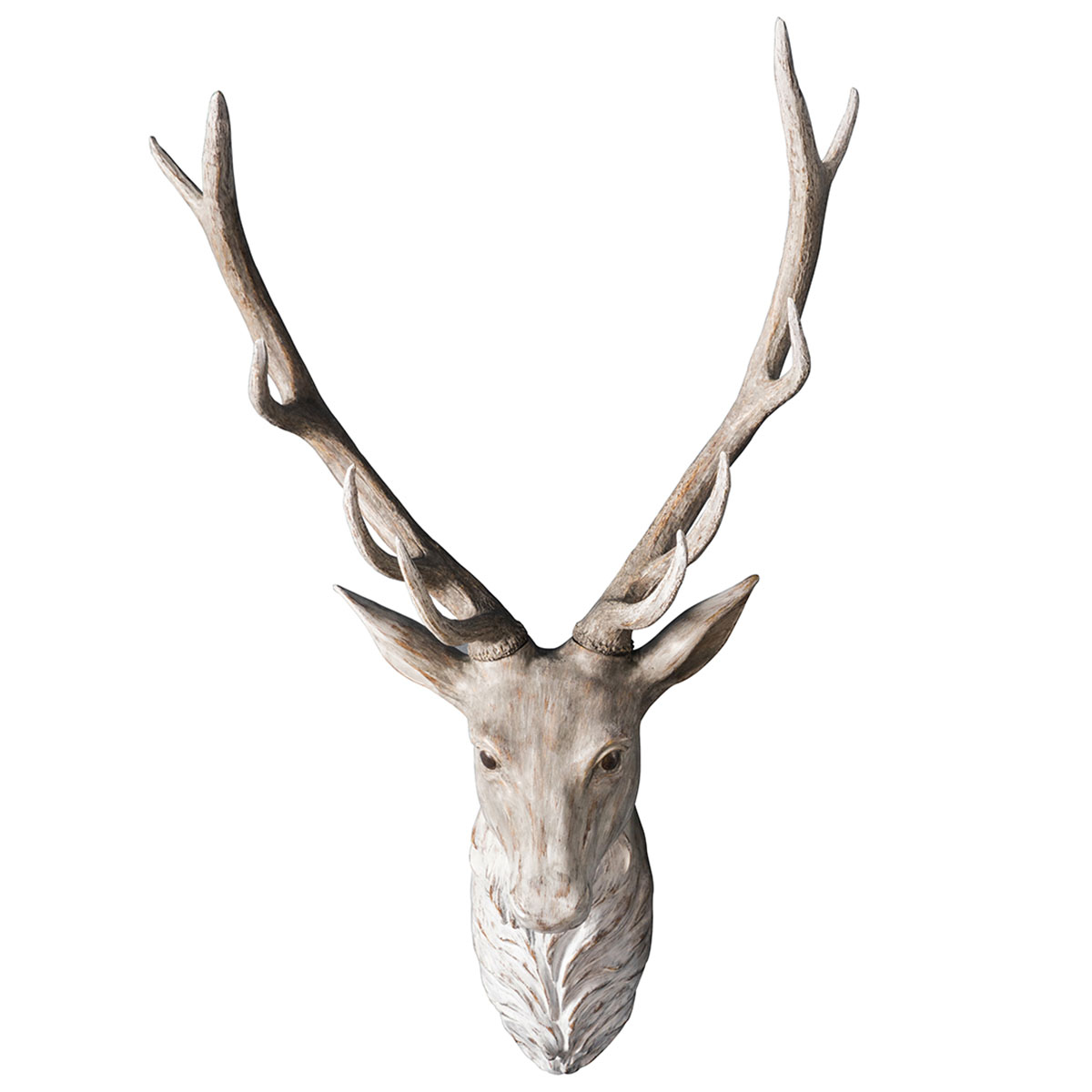 Archie Stag Head 590x400x980mm