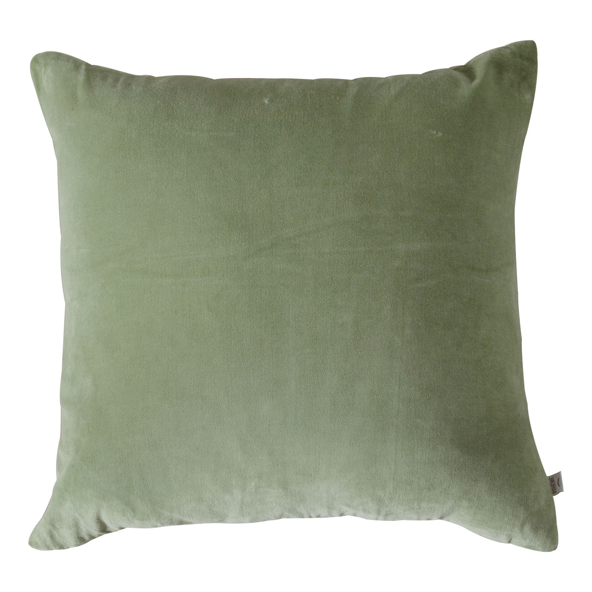 Cotton Velvet Cushion Sage 430x430mm
