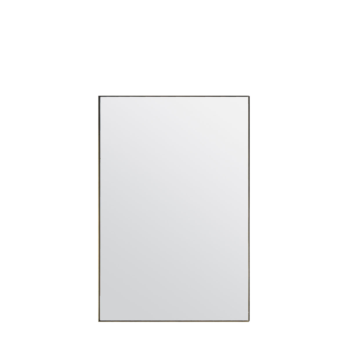 Hurston Mirror Champagne 600x30x900mm