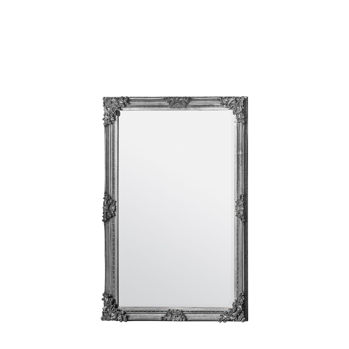 Fiennes Rectangle Mirror Silver 700x1030mm