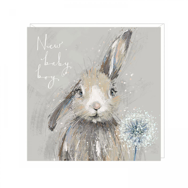 Baby Bunny Boy Greetings Card (6pk)